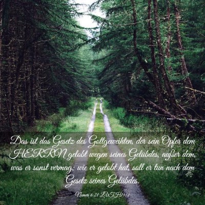 Picture 03 - Numeri 6:21 LUTH1912 - Das ist das Gesetz des Gottgeweihten, der sein - Bible Verse Picture