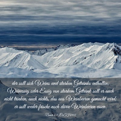 Picture 03 - Numeri 6:3 LUTH1912 - der soll sich Weins und starken Getränks - Bible Verse Picture