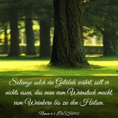 Picture 03 - Numeri 6:4 LUTH1912 - Solange solch ein Gelübde währt, soll er nichts - Bible Verse Picture