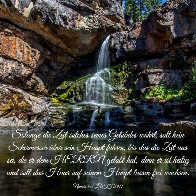 Picture 03 - Numeri 6:5 LUTH1912 - Solange die Zeit solches seines Gelübdes währt, - Bible Verse Picture