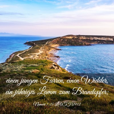 Picture 03 - Numeri 7:15 LUTH1912 - einen jungen Farren, einen Widder, ein jähriges - Bible Verse Picture
