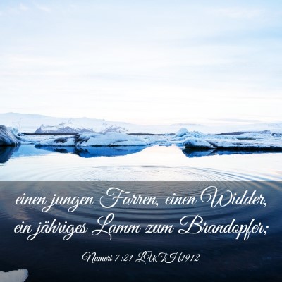 Picture 03 - Numeri 7:21 LUTH1912 - einen jungen Farren, einen Widder, ein jähriges - Bible Verse Picture