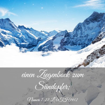 Picture 03 - Numeri 7:22 LUTH1912 - einen Ziegenbock zum - Bible Verse Picture