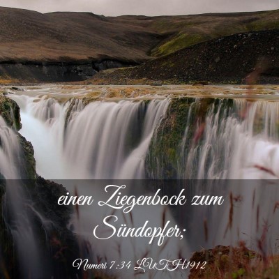 Picture 03 - Numeri 7:34 LUTH1912 - einen Ziegenbock zum - Bible Verse Picture