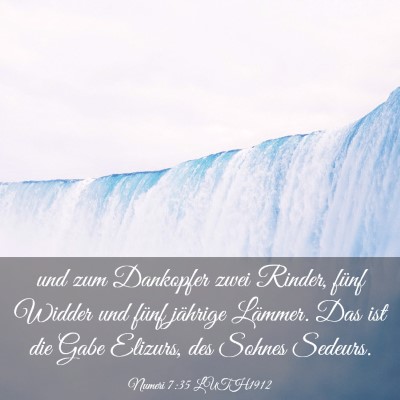 Picture 03 - Numeri 7:35 LUTH1912 - und zum Dankopfer zwei Rinder, fünf Widder und - Bible Verse Picture