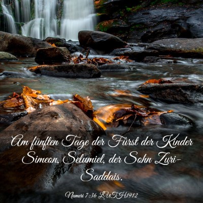 Picture 03 - Numeri 7:36 LUTH1912 - Am fünften Tage der Fürst der Kinder Simeon, - Bible Verse Picture