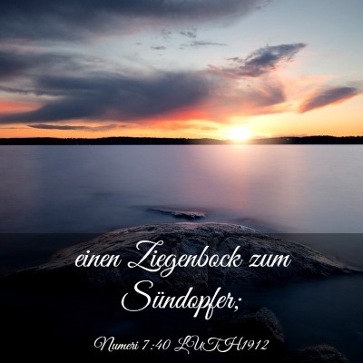Picture 03 - Numeri 7:40 LUTH1912 - einen Ziegenbock zum - Bible Verse Picture