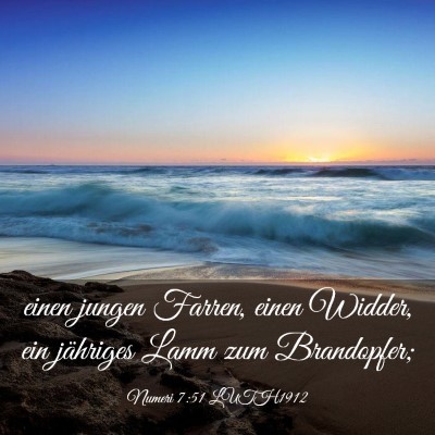 Picture 03 - Numeri 7:51 LUTH1912 - einen jungen Farren, einen Widder, ein jähriges - Bible Verse Picture