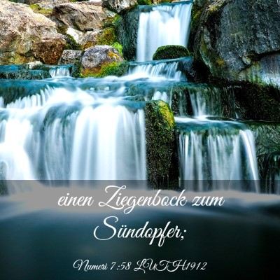 Picture 03 - Numeri 7:58 LUTH1912 - einen Ziegenbock zum - Bible Verse Picture