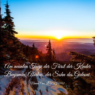 Picture 03 - Numeri 7:60 LUTH1912 - Am neunten Tage der Fürst der Kinder Benjamin, - Bible Verse Picture