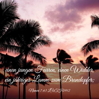 Picture 03 - Numeri 7:63 LUTH1912 - einen jungen Farren, einen Widder, ein jähriges - Bible Verse Picture