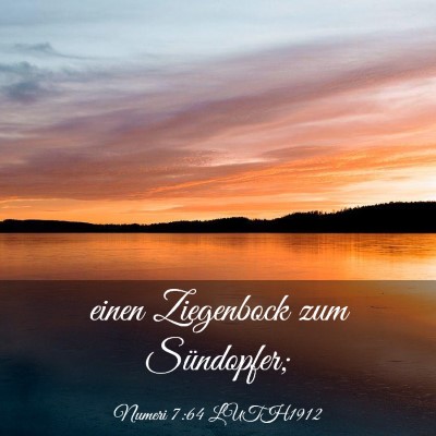 Picture 03 - Numeri 7:64 LUTH1912 - einen Ziegenbock zum - Bible Verse Picture