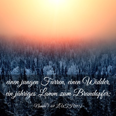 Picture 03 - Numeri 7:69 LUTH1912 - einen jungen Farren, einen Widder, ein jähriges - Bible Verse Picture