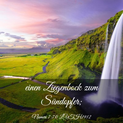 Picture 03 - Numeri 7:70 LUTH1912 - einen Ziegenbock zum - Bible Verse Picture
