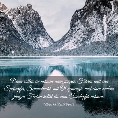 Picture 03 - Numeri 8:8 LUTH1912 - Dann sollen sie nehmen einen jungen Farren und - Bible Verse Picture
