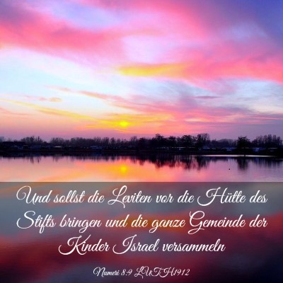 Picture 03 - Numeri 8:9 LUTH1912 - Und sollst die Leviten vor die Hütte des Stifts - Bible Verse Picture