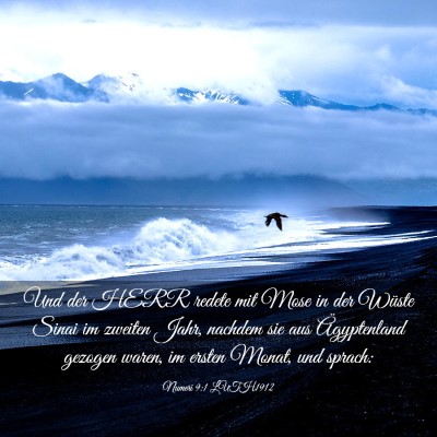 Picture 03 - Numeri 9:1 LUTH1912 - Und der HERR redete mit Mose in der Wüste Sinai - Bible Verse Picture