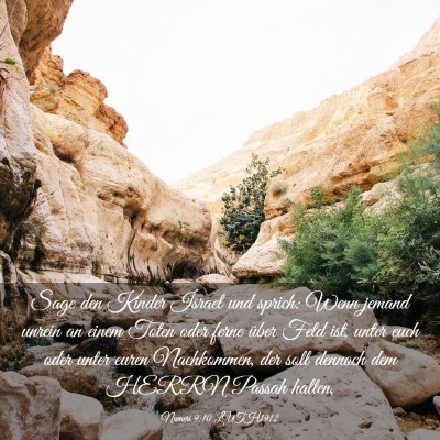 Picture 03 - Numeri 9:10 LUTH1912 - Sage den Kinder Israel und sprich: Wenn jemand - Bible Verse Picture