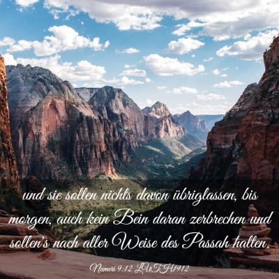 Picture 03 - Numeri 9:12 LUTH1912 - und sie sollen nichts davon übriglassen, bis - Bible Verse Picture