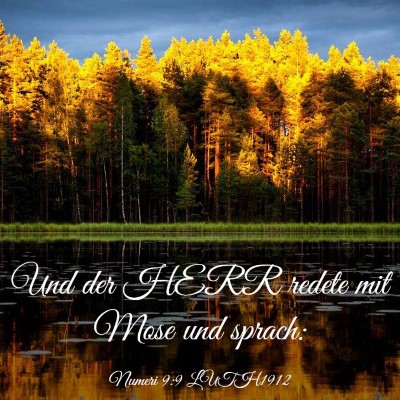 Picture 03 - Numeri 9:9 LUTH1912 - Und der HERR redete mit Mose und - Bible Verse Picture
