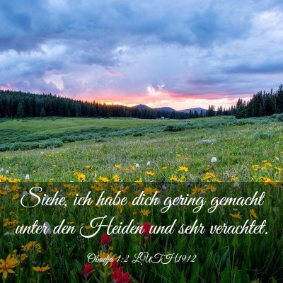 Picture 03 - Obadja 1:2 LUTH1912 - Siehe, ich habe dich gering gemacht unter den - Bible Verse Picture