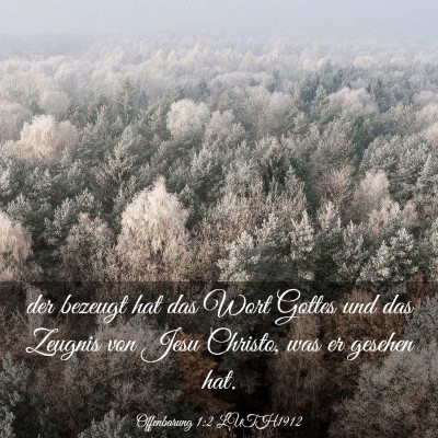 Picture 03 - Offenbarung 1:2 LUTH1912 - der bezeugt hat das Wort Gottes und das Zeugnis - Bible Verse Picture