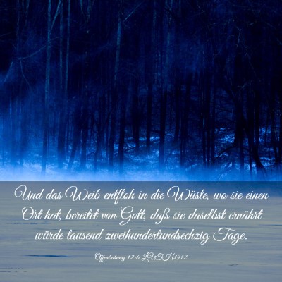 Picture 03 - Offenbarung 12:6 LUTH1912 - Und das Weib entfloh in die Wüste, wo sie einen - Bible Verse Picture