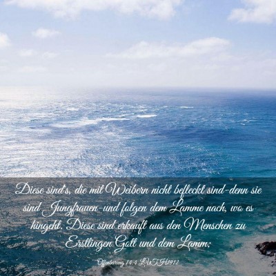 Picture 03 - Offenbarung 14:4 LUTH1912 - Diese sind's, die mit Weibern nicht befleckt - Bible Verse Picture