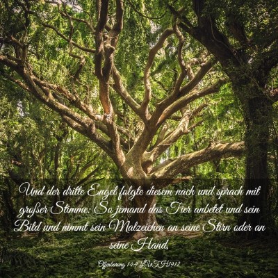 Picture 03 - Offenbarung 14:9 LUTH1912 - Und der dritte Engel folgte diesem nach und - Bible Verse Picture