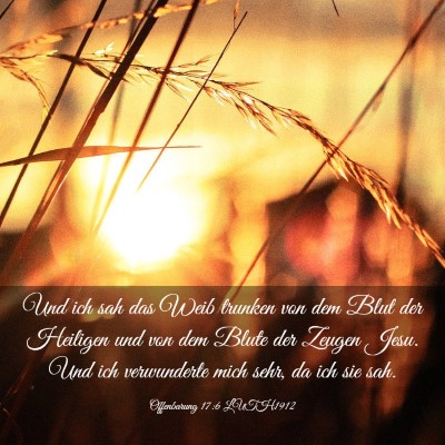 Picture 03 - Offenbarung 17:6 LUTH1912 - Und ich sah das Weib trunken von dem Blut der - Bible Verse Picture