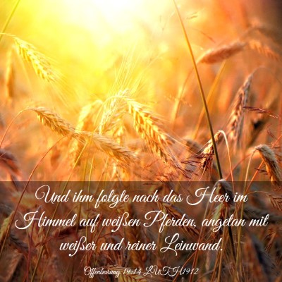 Picture 03 - Offenbarung 19:14 LUTH1912 - Und ihm folgte nach das Heer im Himmel auf - Bible Verse Picture