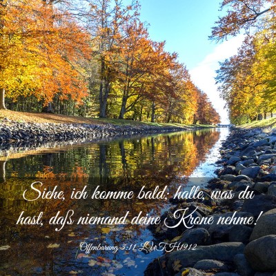 Picture 03 - Offenbarung 3:11 LUTH1912 - Siehe, ich komme bald; halte, was du hast, daß - Bible Verse Picture