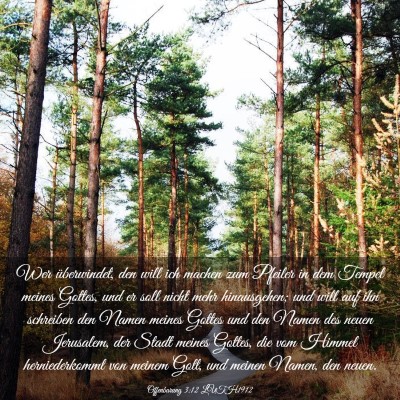 Picture 03 - Offenbarung 3:12 LUTH1912 - Wer überwindet, den will ich machen zum Pfeiler - Bible Verse Picture