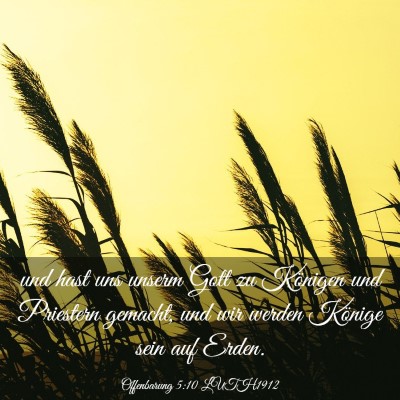 Picture 03 - Offenbarung 5:10 LUTH1912 - und hast uns unserm Gott zu Königen und - Bible Verse Picture