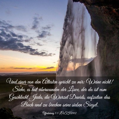 Picture 03 - Offenbarung 5:5 LUTH1912 - Und einer von den Ältesten spricht zu mir: Weine - Bible Verse Picture