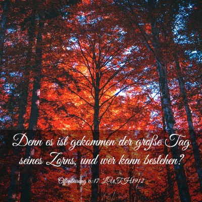 Picture 03 - Offenbarung 6:17 LUTH1912 - Denn es ist gekommen der große Tag seines Zorns, - Bible Verse Picture