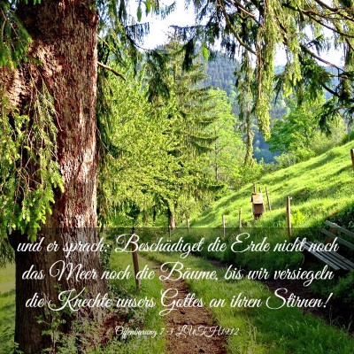 Picture 03 - Offenbarung 7:3 LUTH1912 - und er sprach: Beschädiget die Erde nicht noch - Bible Verse Picture