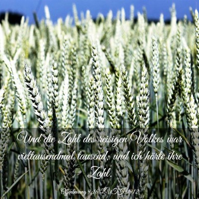 Picture 03 - Offenbarung 9:16 LUTH1912 - Und die Zahl des reisigen Volkes war - Bible Verse Picture