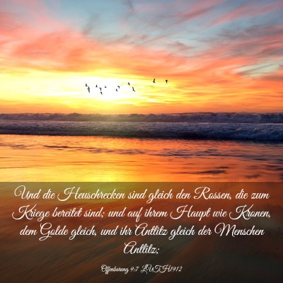 Picture 03 - Offenbarung 9:7 LUTH1912 - Und die Heuschrecken sind gleich den Rossen, die - Bible Verse Picture