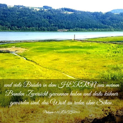 Picture 03 - Philipper 1:14 LUTH1912 - und viele Brüder in dem HERRN aus meinen Banden - Bible Verse Picture