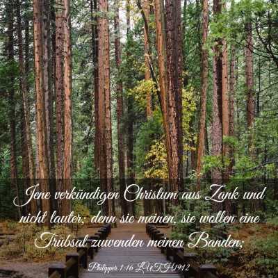 Picture 03 - Philipper 1:16 LUTH1912 - Jene verkündigen Christum aus Zank und nicht - Bible Verse Picture