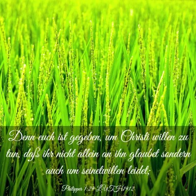 Picture 03 - Philipper 1:29 LUTH1912 - Denn euch ist gegeben, um Christi willen zu tun, - Bible Verse Picture