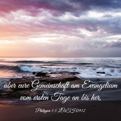 Picture 03 - Philipper 1:5 LUTH1912 - über eure Gemeinschaft am Evangelium vom ersten - Bible Verse Picture