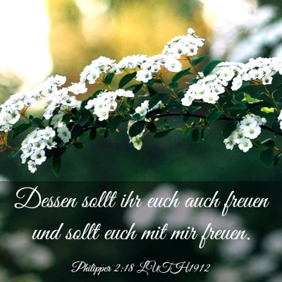 Picture 03 - Philipper 2:18 LUTH1912 - Dessen sollt ihr euch auch freuen und sollt euch - Bible Verse Picture