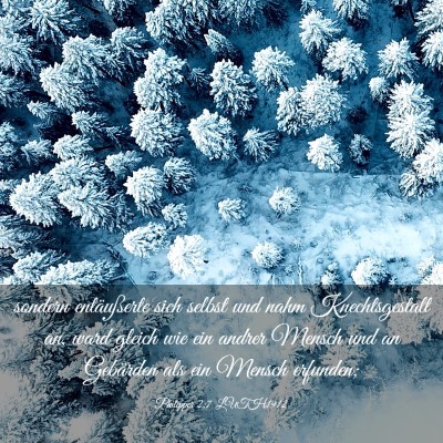 Picture 03 - Philipper 2:7 LUTH1912 - sondern entäußerte sich selbst und nahm - Bible Verse Picture
