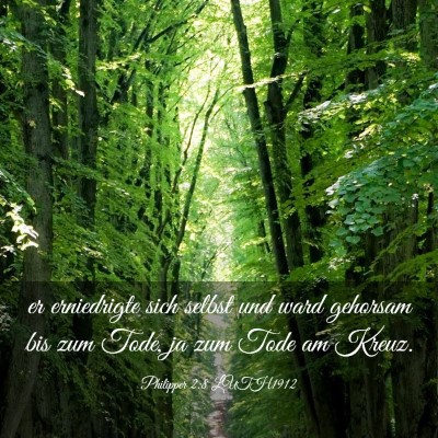 Picture 03 - Philipper 2:8 LUTH1912 - er erniedrigte sich selbst und ward gehorsam bis - Bible Verse Picture