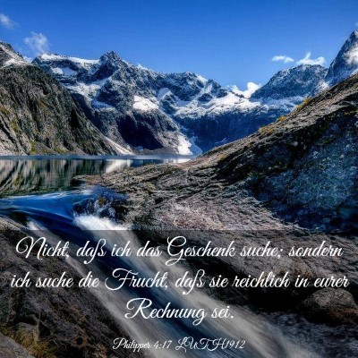 Picture 03 - Philipper 4:17 LUTH1912 - Nicht, daß ich das Geschenk suche; sondern ich - Bible Verse Picture