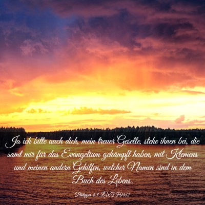 Picture 03 - Philipper 4:3 LUTH1912 - Ja ich bitte auch dich, mein treuer Geselle, - Bible Verse Picture