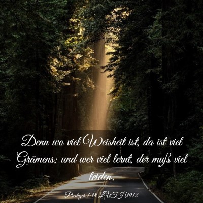 Picture 03 - Prediger 1:18 LUTH1912 - Denn wo viel Weisheit ist, da ist viel Grämens; - Bible Verse Picture