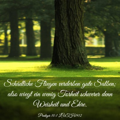 Picture 03 - Prediger 10:1 LUTH1912 - Schädliche Fliegen verderben gute Salben; also - Bible Verse Picture